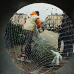 Ile kosztuje żywa choinka? - Radio Kielce 14.12.2023. Kielce. Plac Wolności. Choinki / Fot. Jarosław Kubalski - Radio Kielce