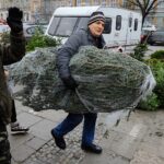 Ile kosztuje żywa choinka? - Radio Kielce 14.12.2023. Kielce. Plac Wolności. Choinki / Fot. Jarosław Kubalski - Radio Kielce