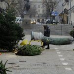 Ile kosztuje żywa choinka? - Radio Kielce 14.12.2023. Kielce. Plac Wolności. Choinki / Fot. Jarosław Kubalski - Radio Kielce