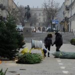 Ile kosztuje żywa choinka? - Radio Kielce 14.12.2023. Kielce. Plac Wolności. Choinki / Fot. Jarosław Kubalski - Radio Kielce