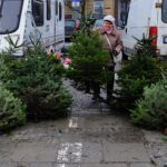 Ile kosztuje żywa choinka? - Radio Kielce 14.12.2023. Kielce. Plac Wolności. Choinki / Fot. Jarosław Kubalski - Radio Kielce