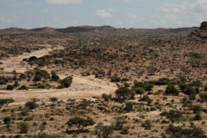 Muzyczne podróże. Somaliland / Fot. Dariusz J. Drayer Drajewicz