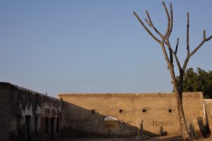 Muzyczne podróże. Somaliland / Fot. Dariusz J. Drayer Drajewicz