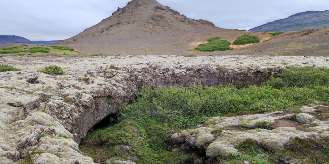 Muzyczne podróże. Islandia / Fot. Danuta Rasała i Sławomir Skowron