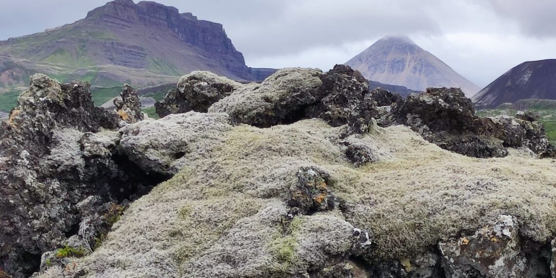 Muzyczne podróże. Islandia / Fot. Danuta Rasała i Sławomir Skowron