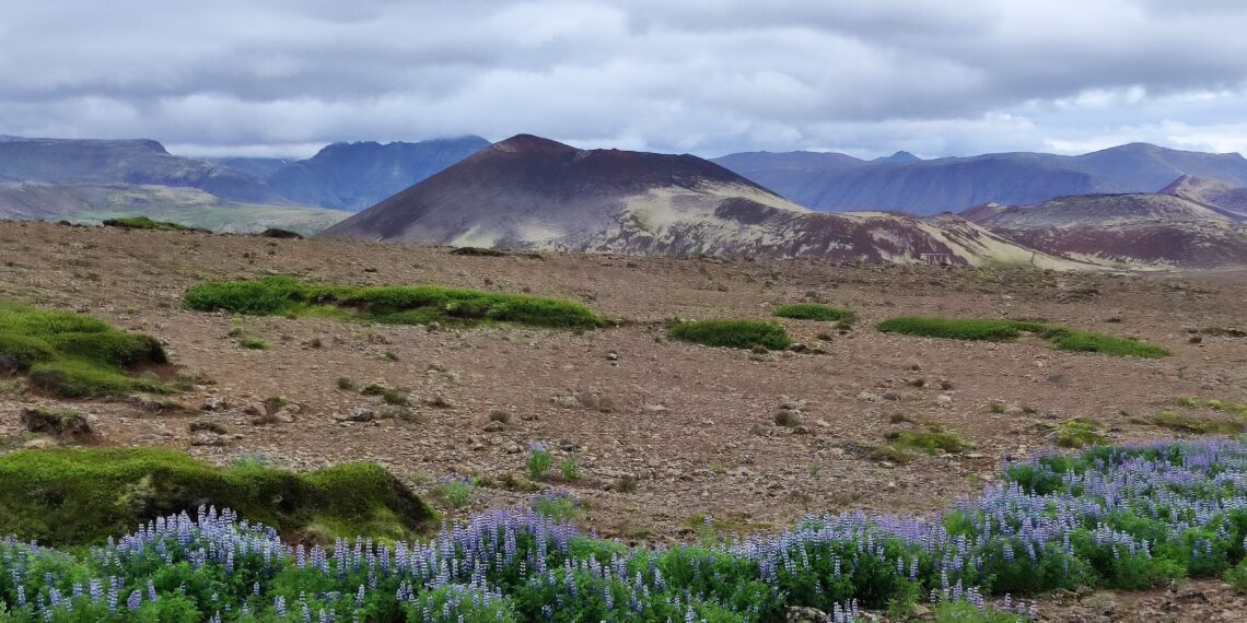 Muzyczne podróże. Islandia / Fot. Danuta Rasała i Sławomir Skowron