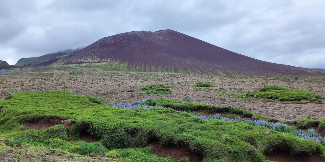 Muzyczne podróże. Islandia / Fot. Danuta Rasała i Sławomir Skowron