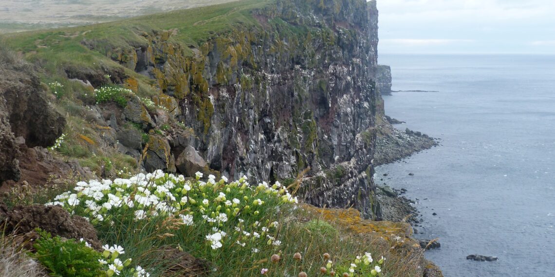 Muzyczne podróże. Islandia / Fot. Danuta Rasała i Sławomir Skowron