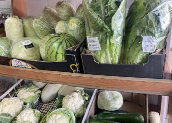 Ceny warzyw i owoców w Sandomierzu (19.01.2024) - Radio Kielce