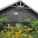 20.01.2024. Marcinków. Stajnia artystyczna / Fot. Magdalena Galas-Klusek - Radio Kielce