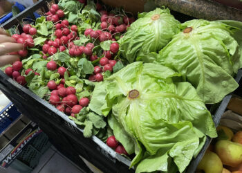 Ceny warzyw i owoców w Sandomierzu (11.01.2024) - Radio Kielce