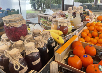 Ceny warzyw i owoców w Sandomierzu (4.01.2024) - Radio Kielce