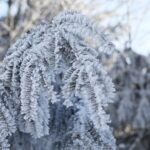 09.01.2024. Święty Krzyż. Zima. / Fot. Wiktor Taszłow - Radio Kielce