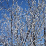 09.01.2024. Święty Krzyż. Zima. / Fot. Wiktor Taszłow - Radio Kielce