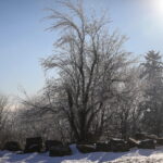 09.01.2024. Święty Krzyż. Zima. / Fot. Wiktor Taszłow - Radio Kielce