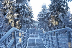 Śnieg i mróz podzielą kraj [PROGNOZA POGODY]