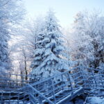 09.01.2024. Święty Krzyż. Zima. / Fot. Wiktor Taszłow - Radio Kielce