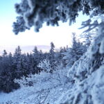 09.01.2024. Święty Krzyż. Zima. / Fot. Wiktor Taszłow - Radio Kielce