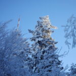 09.01.2024. Święty Krzyż. Zima. / Fot. Wiktor Taszłow - Radio Kielce