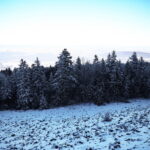 09.01.2024. Święty Krzyż. Zima. / Fot. Wiktor Taszłow - Radio Kielce