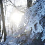 09.01.2024. Święty Krzyż. Zima. / Fot. Wiktor Taszłow - Radio Kielce