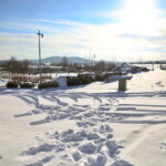 16.01.2024. Kielce. Ogród Botaniczny / Fot. Wiktor Taszłow - Radio Kielce