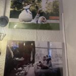 Wystawa „Kim jestem” w Sandomierzu - Radio Kielce