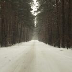 07.01.2024. Kielce. Zima na drogach / Fot. Jarosław Kubalski - Radio Kielce