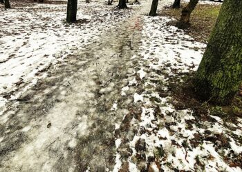 Fot. Jarosław Kubalski - Radio Kielce