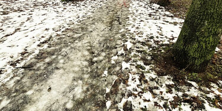 Fot. Jarosław Kubalski - Radio Kielce