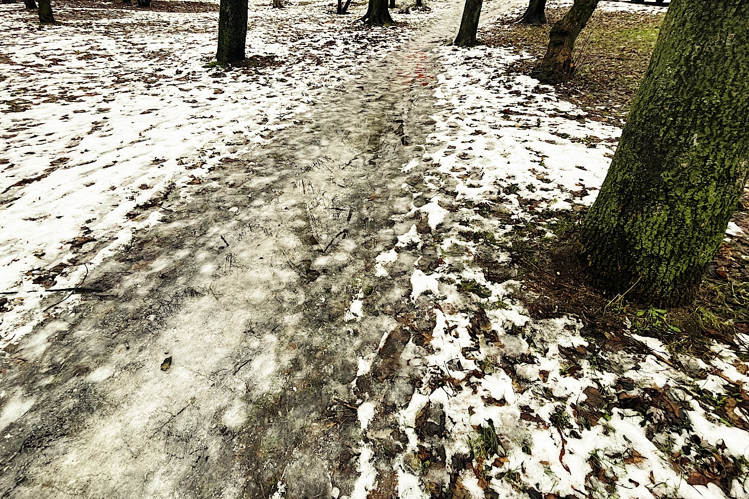 Gołoledź i roztopy. Alerty dla północy i zachodu kraju