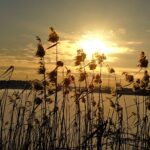 12.01.2024. Zalew w Cedzynie. / Fot. Jarosław Kubalski - Radio Kielce