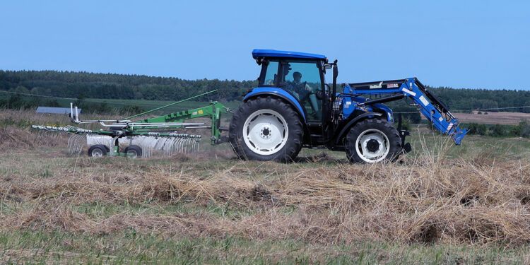 W 2023 roku zarejestrowano mniej nowych ciągników - Radio Kielce żniwa, traktor, ciągnik, zboże, pole / Fot. Robert Felczak – Radio Kielce