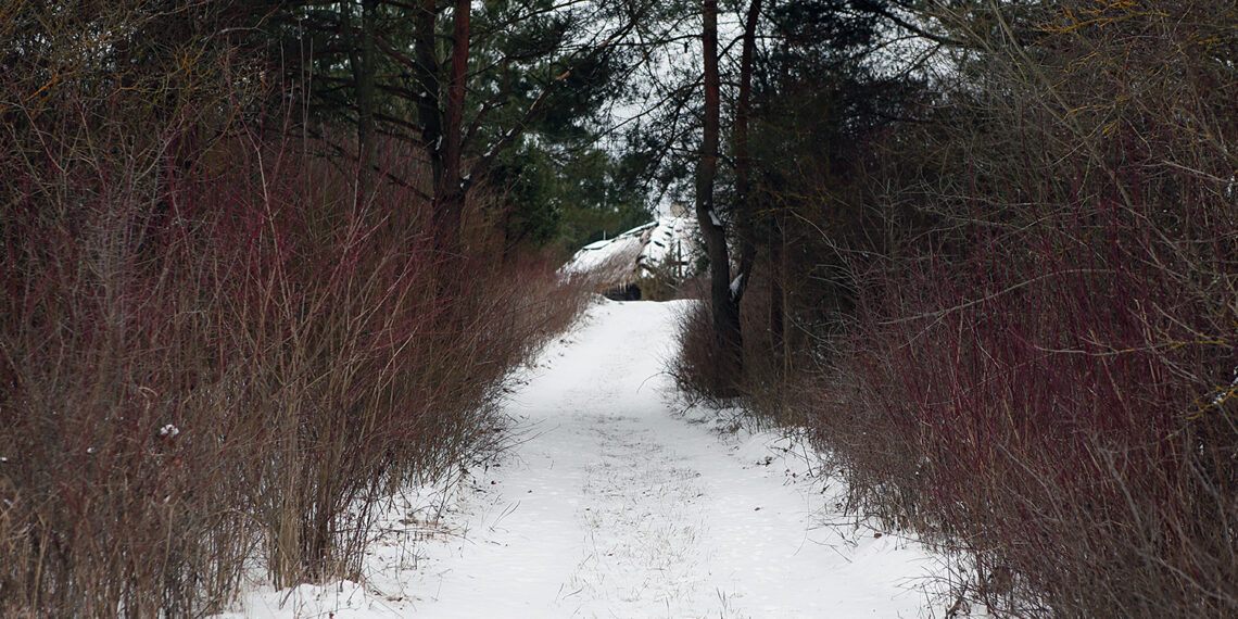 13.01.2024. Tokarnia. Park Etnograficzny w Tokarni / Fot. Robert Felczak – Radio Kielce