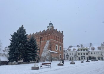 Mniej urodzeń i zawieranych małżeństw, ale i mniej zgonów