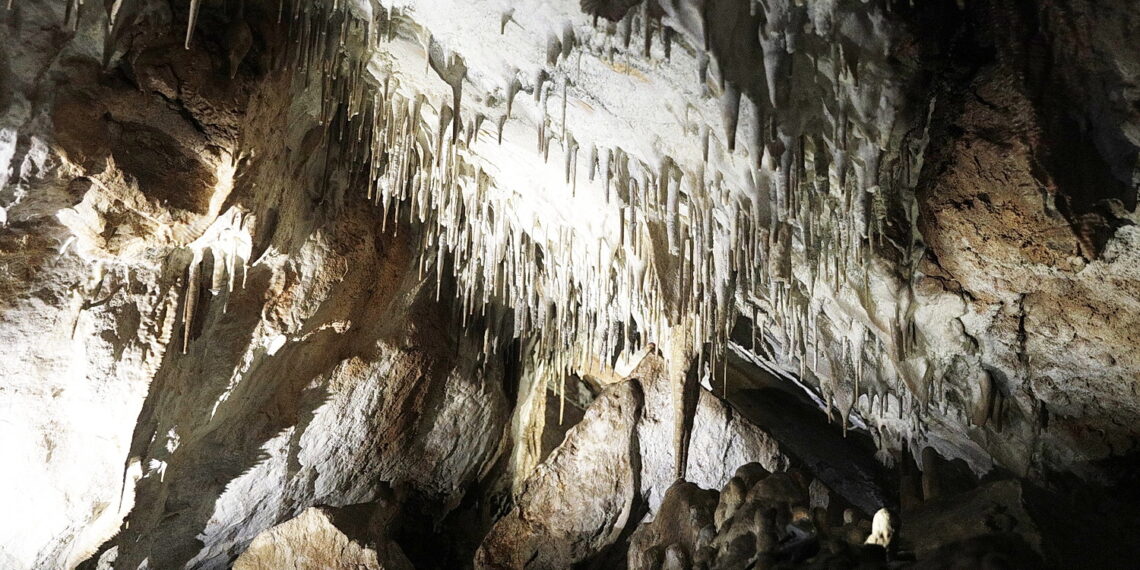 Jaskinia Raj / Fot. Jarosław Kubalski - Radio Kielce