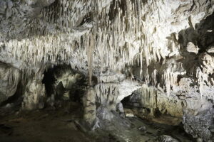 Raj ponownie dostępny. Zobacz najpopularniejszą świętokrzyską jaskinię - Radio Kielce