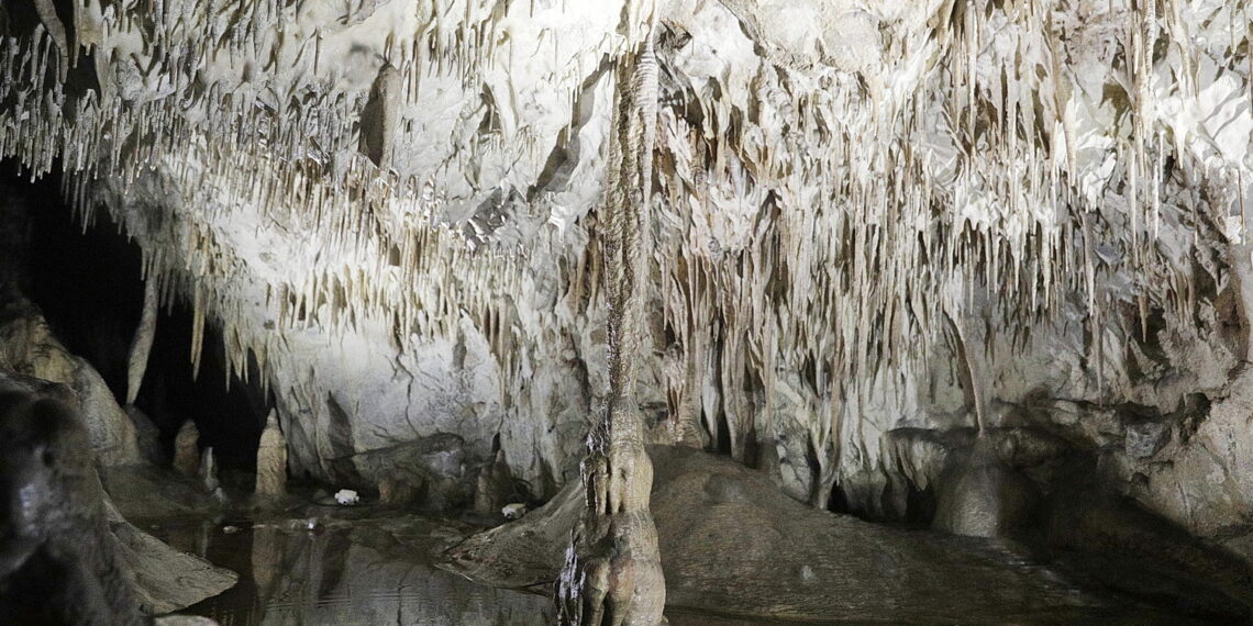 27.01.2024 Jaskinia Raj / Fot. Jarosław Kubalski - Radio Kielce