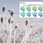 Objawi się mroźne oblicze zimy [PROGNOZA POGODY]