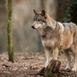 Zdjęcie ilustracyjne. / Fot. canva.com