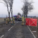 Fot. KP PSP Ostrów Wielkopolski