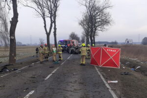 Fot. KP PSP Ostrów Wielkopolski