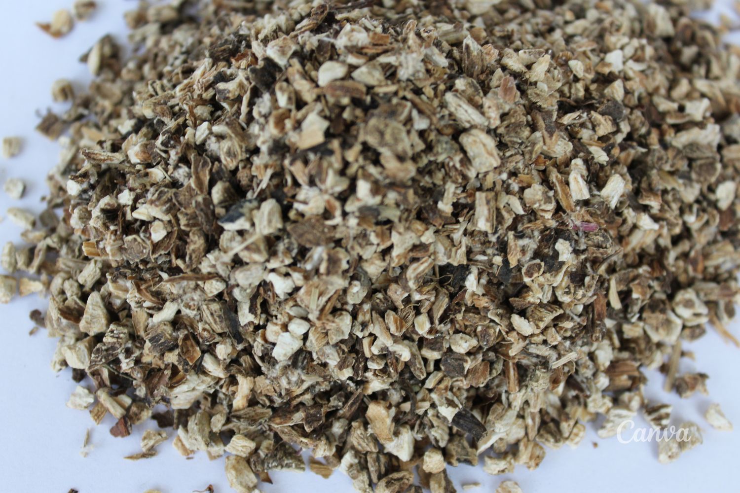 Sekrety ziół - korzeń łopianu 