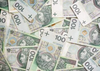 Wsparcie bezpośrednie za 2023 rok w Polsce i w UE - Radio Kielce