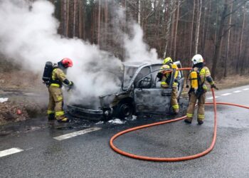 04.02.2023. Koliszowy. Pożar samochodu / fot. policja