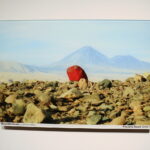 Dwa spojrzenia na rzeźbę i malarstwo dialogujące z przeszłością w kieleckim BWA - Radio Kielce