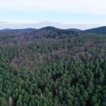 02.02.2024. Kielce. Rezerwat Przyrody Biesak-Białogon / Fot. Jarosław Kubalski - Radio Kielce