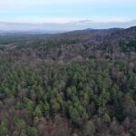 02.02.2024. Kielce. Rezerwat Przyrody Biesak-Białogon / Fot. Jarosław Kubalski - Radio Kielce