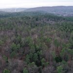 02.02.2024. Kielce. Rezerwat Przyrody Biesak-Białogon / Fot. Jarosław Kubalski - Radio Kielce