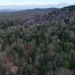 02.02.2024. Kielce. Rezerwat Przyrody Biesak-Białogon / Fot. Jarosław Kubalski - Radio Kielce